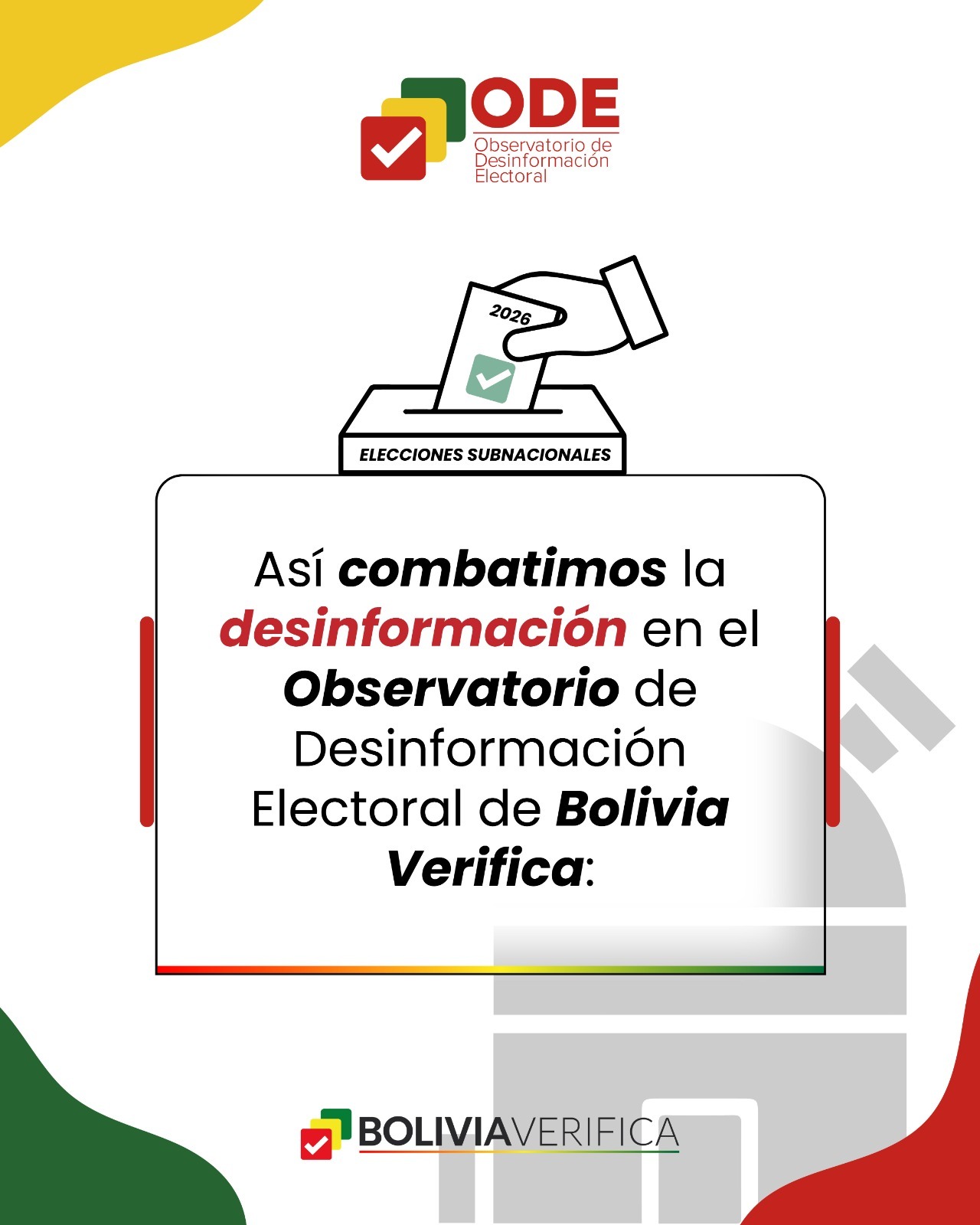 WhatsApp Image 2026-03-30 at 18.11.23(1)